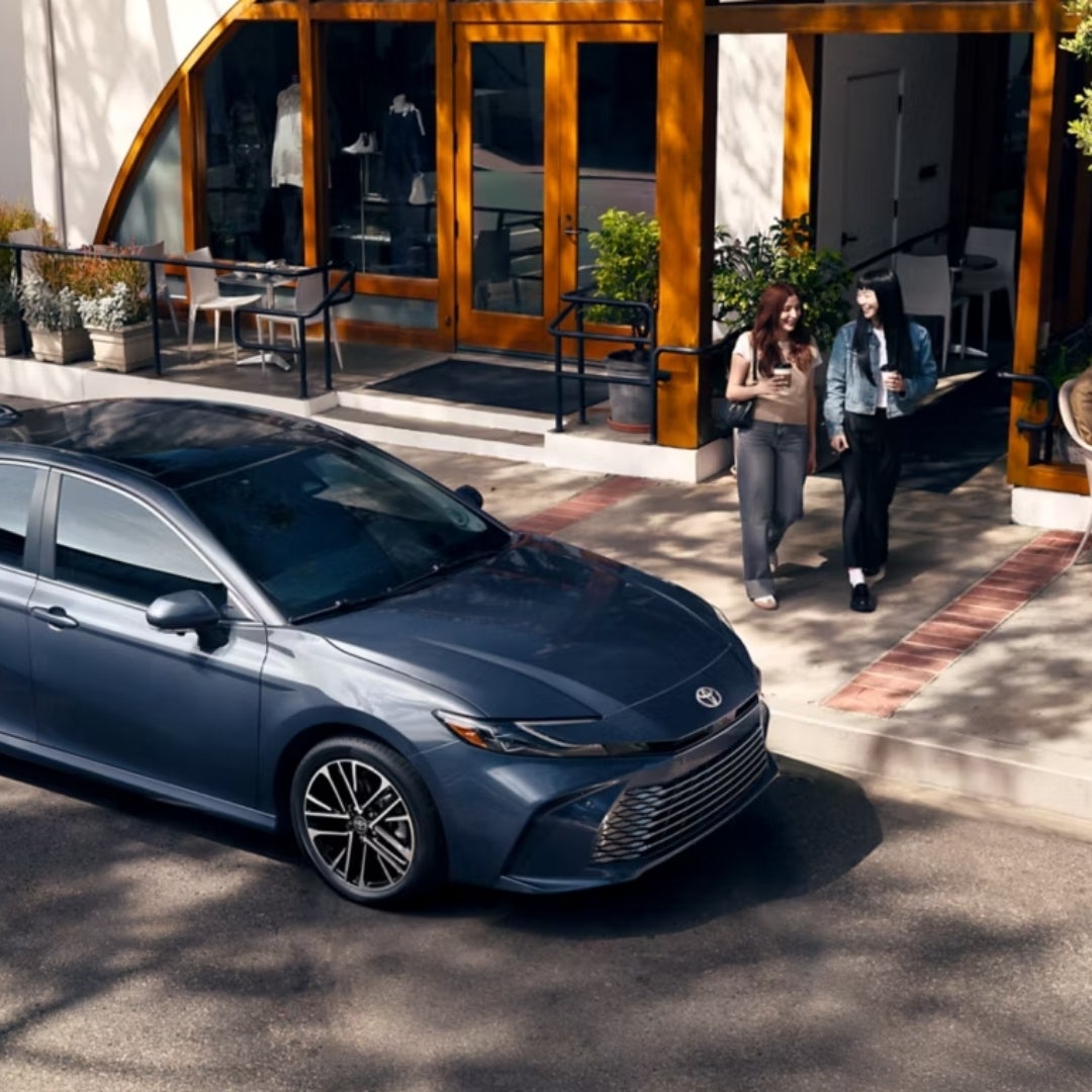 2026 Toyota Rental Lineup | Findlay Toyota Flagstaff in Flagstaff AZ